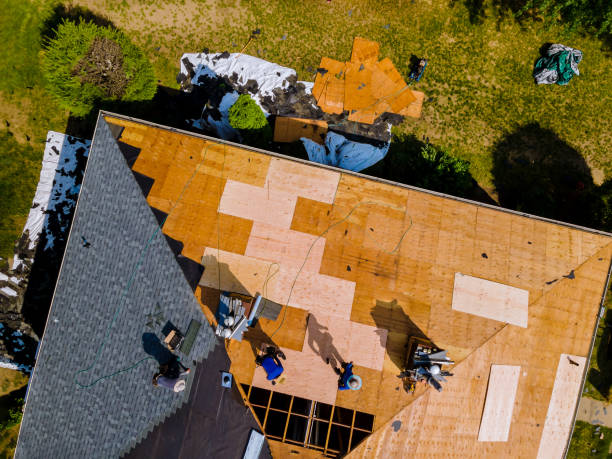 Best Storm Damage Roof Repair  in Pu, HI