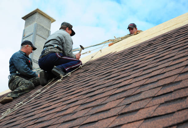 Roof Gutter Cleaning in Puhi, HI